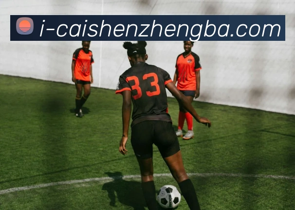 辅助工具 辅助工具